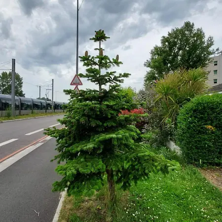 Escale Kennedy * Mérignac